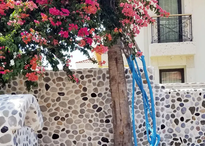 Tonoz אולודניץ