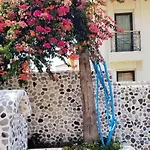 Tonoz Oludeniz